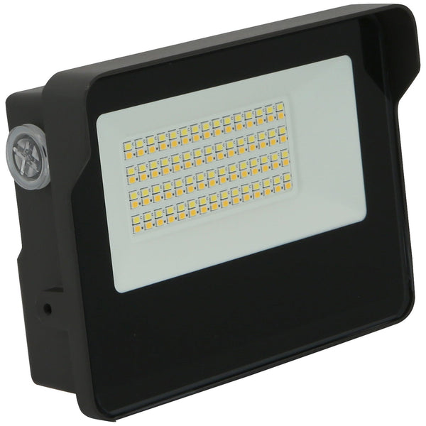 Flood Light