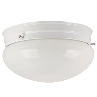 1 Light, Dome Style, Ceiling Space Collection, White Finish