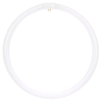 40 Watt, T9 Circline, 4100K - Cool White