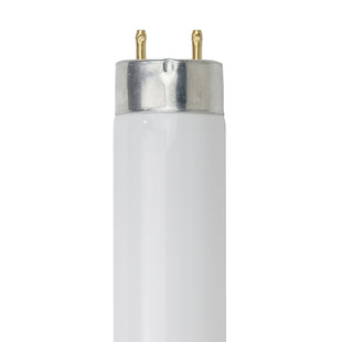 18 Inch, 15 Watt, T8 Straight Tube, 4100K - Cool White