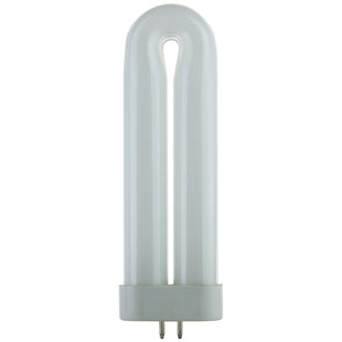 8 Watt, FUL 4-Pin Single U-Shaped Twin Tube,  - Black Light