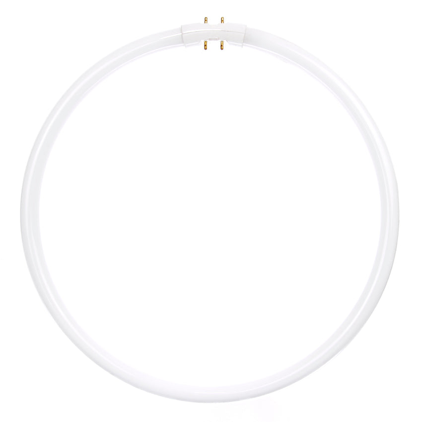 40 Watt, T5 Circline, 3500K - Neutral White