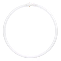 40 Watt, T5 Circline, 4100K - Cool White