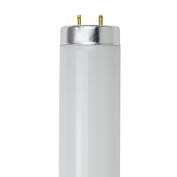 18 Inch, 15 Watt, T12 Straight Tube, 4100K - Cool White