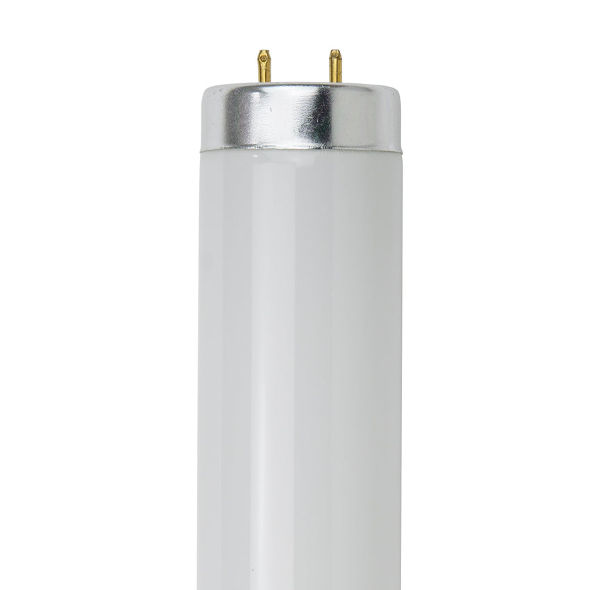 2 Ft, 20 Watt, T12 Straight Tube, 4100K - Cool White