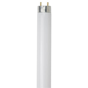 2 Ft, 17 Watt, T8 High Performance Straight Tube, 6500K - Daylight