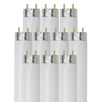 4 Ft, 32 Watt, T8 High Performance Straight Tube, 5000K - Soft White