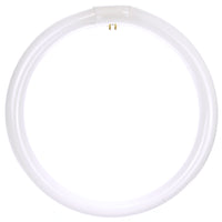 32 Watt, T9 Circline, 4100K - Cool White