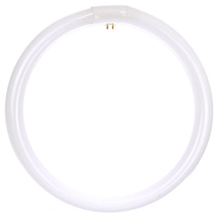 32 Watt, T9 Circline, 4100K - Cool White