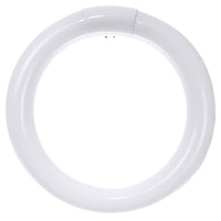 22 Watt, T9 Circline, 4100K - Cool White