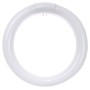 22 Watt, T9 Circline, 4100K - Cool White