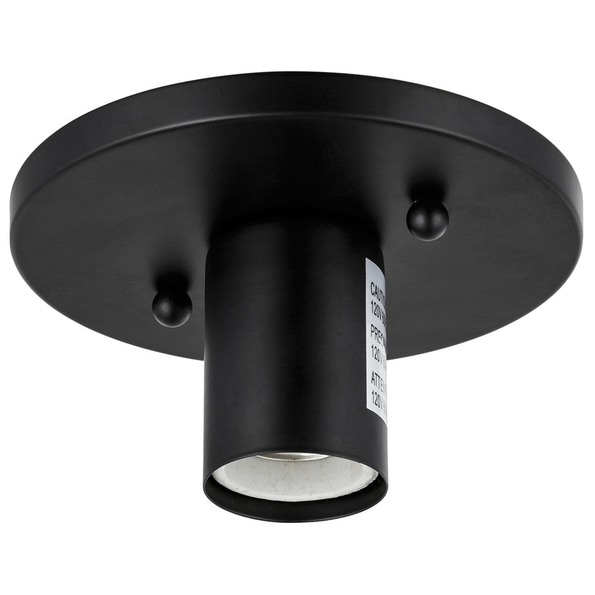 1 Light, Socket Style, Ceiling Space Collection, Black Finish