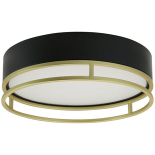 13" Ceiling Space Collection Black+Gold Finish CCT Selectable