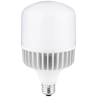 T36, 300 Watt Equivalent, 3500 Lumen, 5000K - Super White