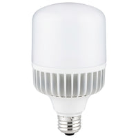 T32, 225 Watt Equivalent, 2600 Lumen, 5000K - Super White