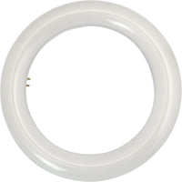 LED 8" Circline, 11 Watt , T9 1100 Lumen, - CCT Selectable